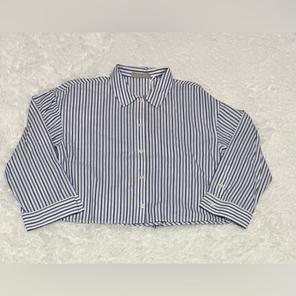 Everlane Blue and White Striped Button Down Shirt